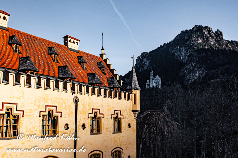 Hohenschwangau-Schloss (BAY_LKR_OAL)_0019