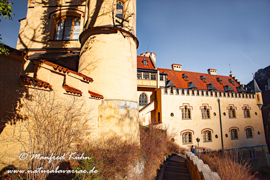 Hohenschwangau-Schloss (BAY_LKR_OAL)_0020