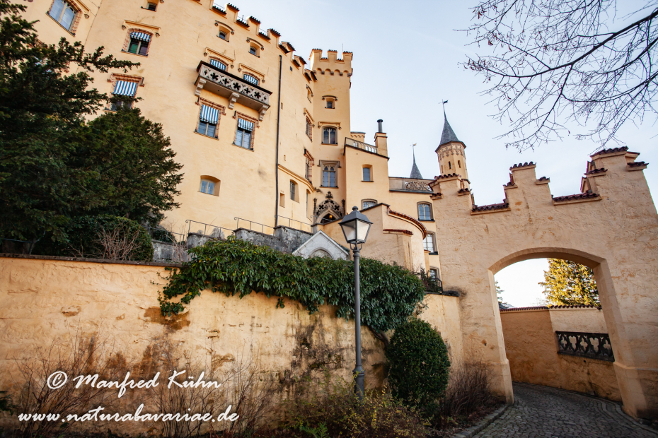 Hohenschwangau-Schloss (BAY_LKR_OAL)_0024