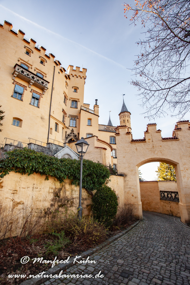 Hohenschwangau-Schloss (BAY_LKR_OAL)_0025