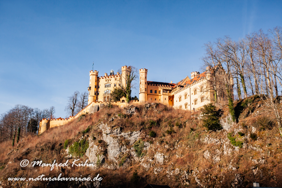Hohenschwangau-Schloss (BAY_LKR_OAL)_0033