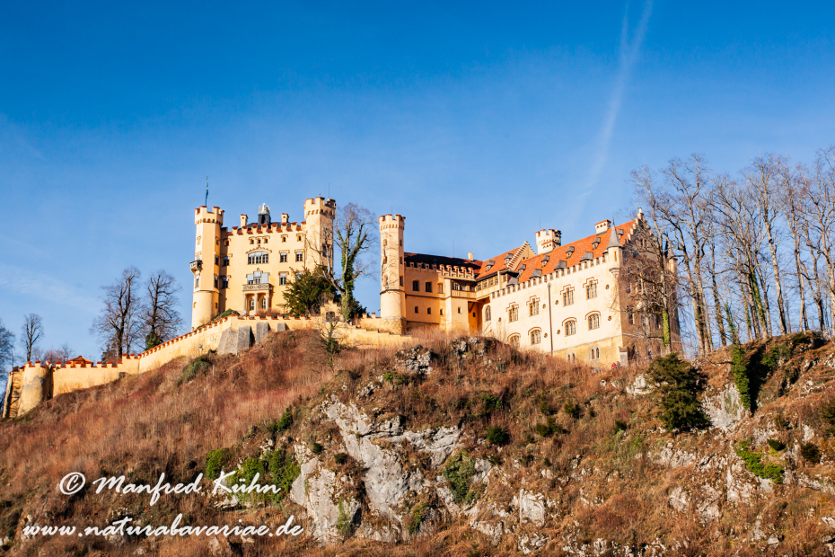 Hohenschwangau-Schloss (BAY_LKR_OAL)_0035