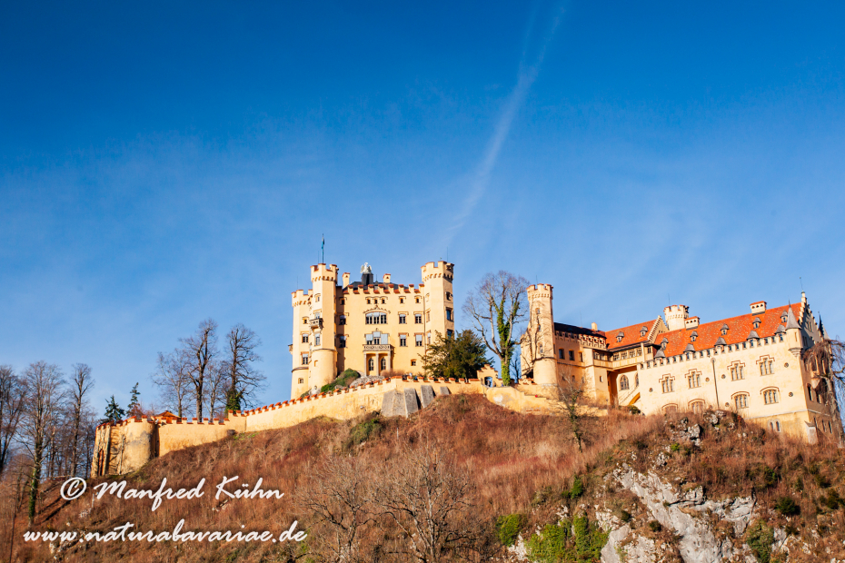 Hohenschwangau-Schloss (BAY_LKR_OAL)_0036