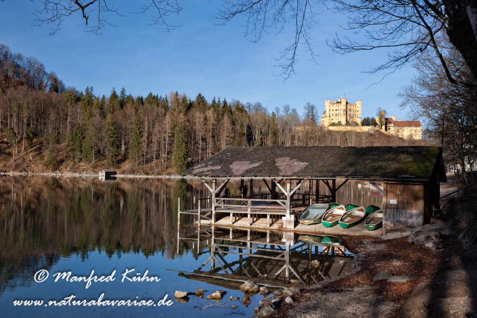 Hohenschwangau-Schloss (BAY_LKR_OAL)_0042