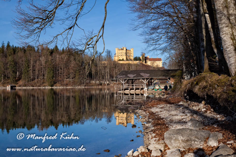 Hohenschwangau-Schloss (BAY_LKR_OAL)_0045