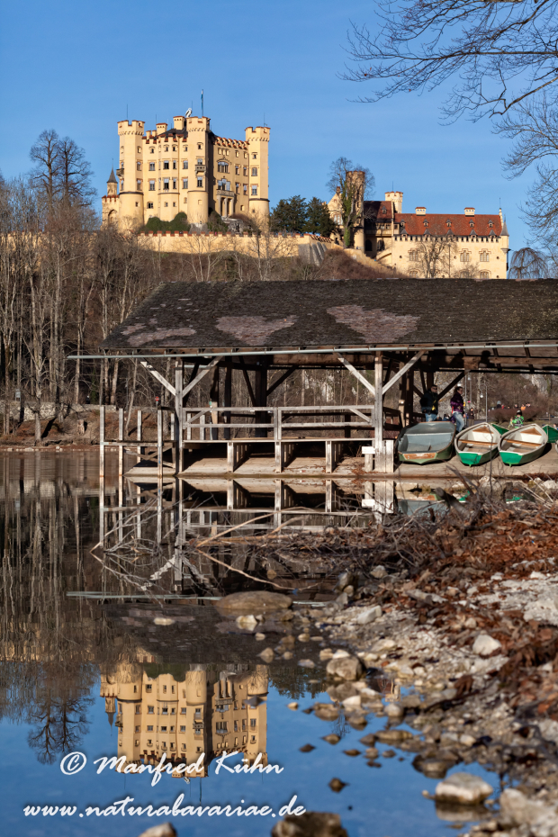 Hohenschwangau-Schloss (BAY_LKR_OAL)_0050
