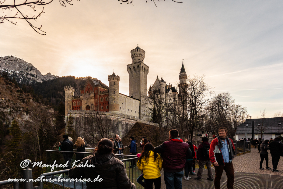 Neuschwanstein-Schloss (BAY_LKR_OAL)_0001