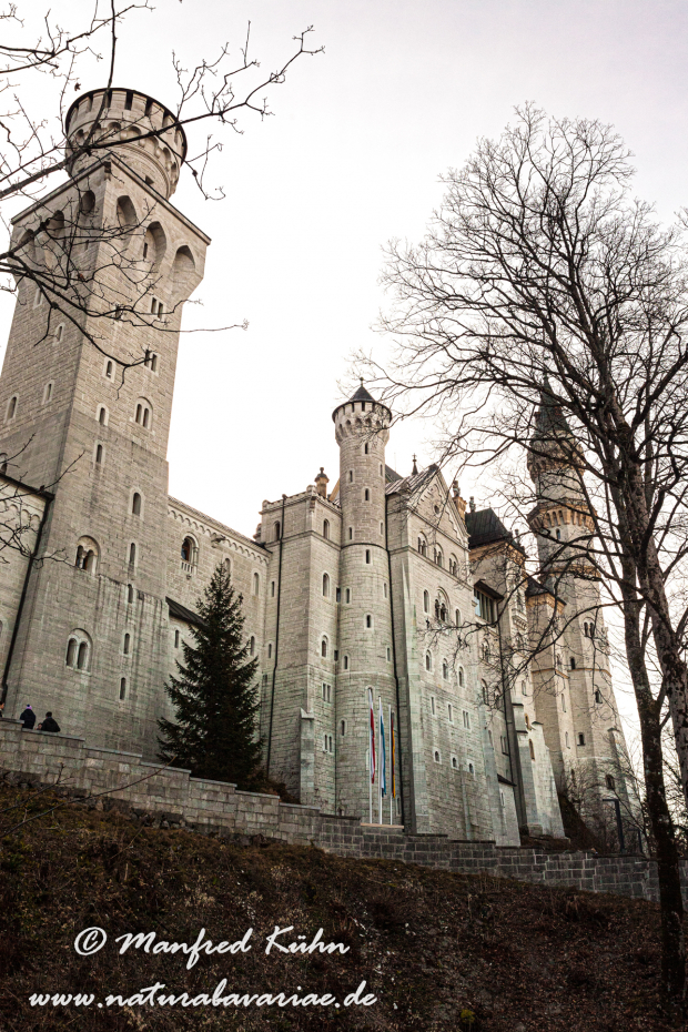 Neuschwanstein-Schloss (BAY_LKR_OAL)_0002