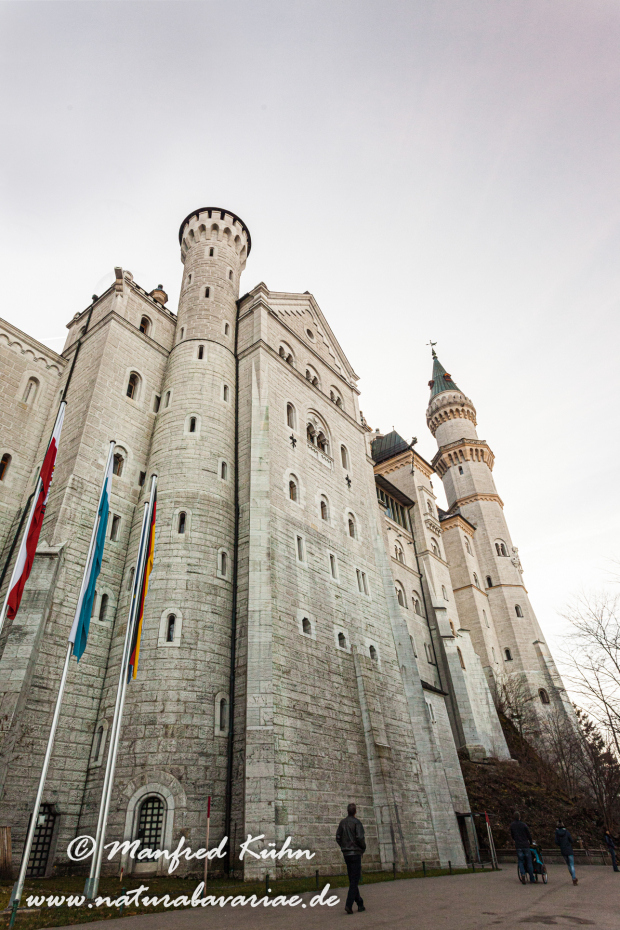 Neuschwanstein-Schloss (BAY_LKR_OAL)_0006