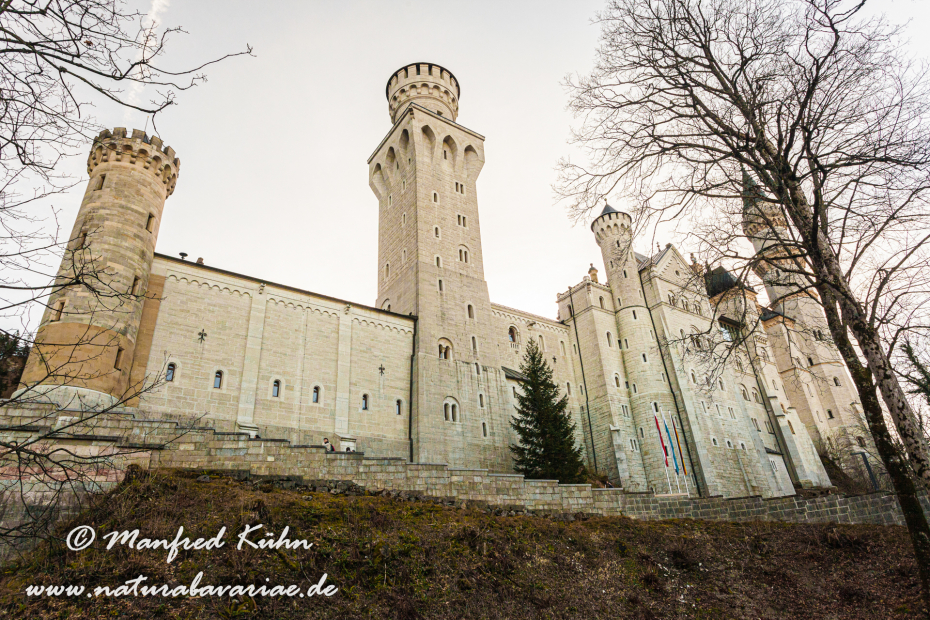 Neuschwanstein-Schloss (BAY_LKR_OAL)_0007