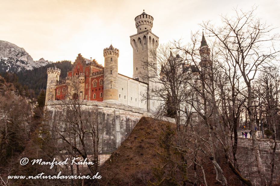 Neuschwanstein-Schloss (BAY_LKR_OAL)_0010