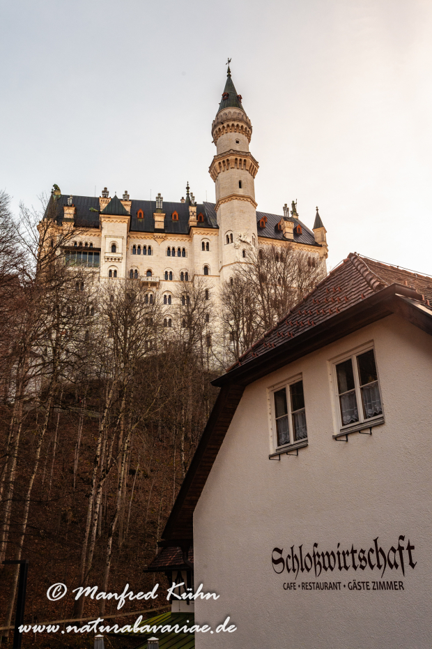 Neuschwanstein-Schloss (BAY_LKR_OAL)_0011