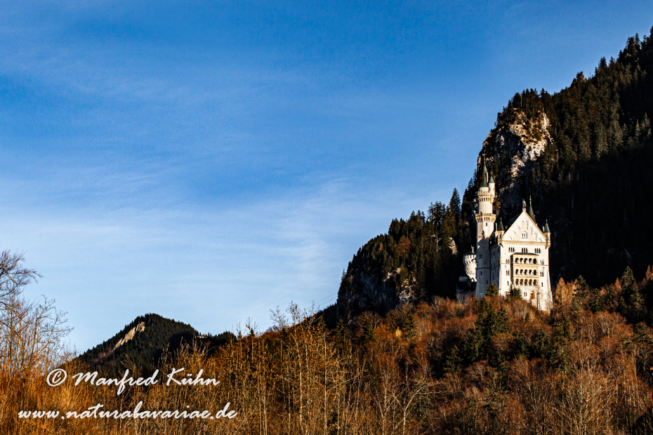 Neuschwanstein-Schloss (BAY_LKR_OAL)_0013