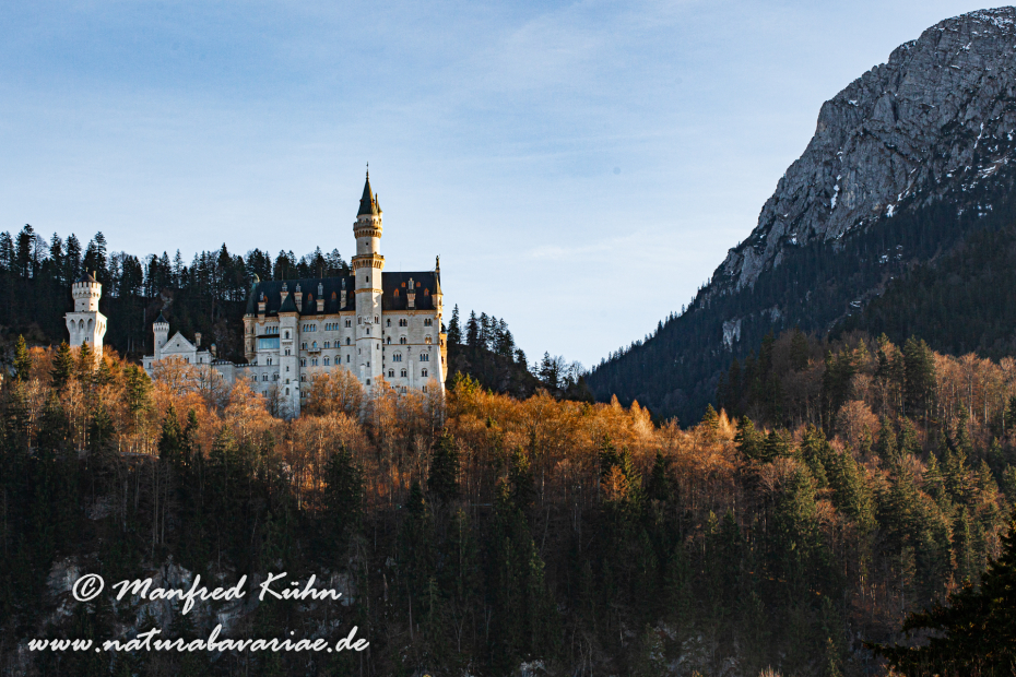 Neuschwanstein-Schloss (BAY_LKR_OAL)_0014