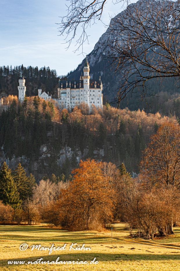 Neuschwanstein-Schloss (BAY_LKR_OAL)_0015
