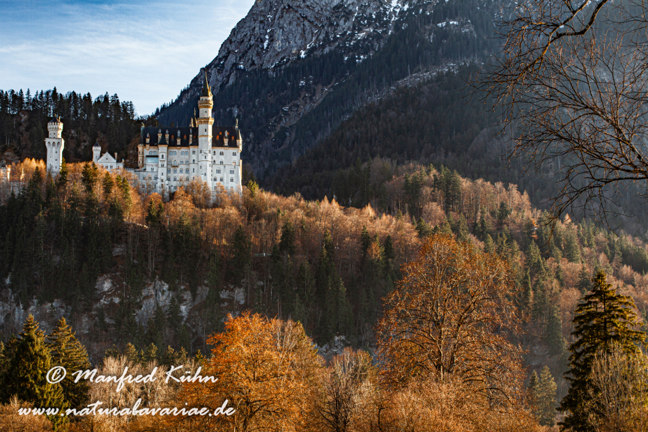Neuschwanstein-Schloss (BAY_LKR_OAL)_0016