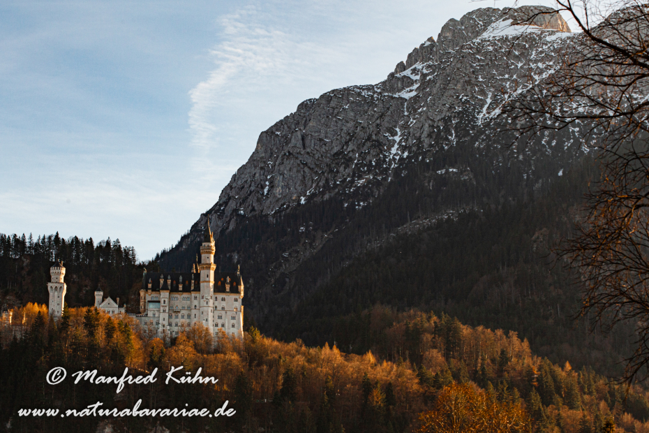 Neuschwanstein-Schloss (BAY_LKR_OAL)_0018