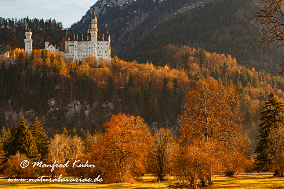 Neuschwanstein-Schloss (BAY_LKR_OAL)_0020
