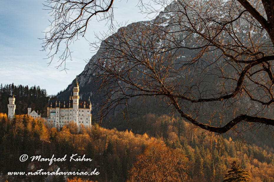 Neuschwanstein-Schloss (BAY_LKR_OAL)_0021