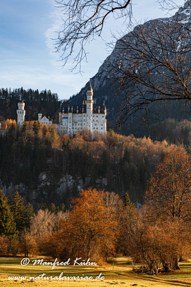 Neuschwanstein-Schloss (BAY_LKR_OAL)_0022