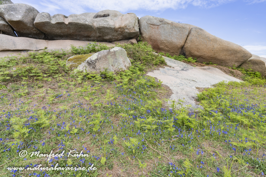 Bretagne (Frankreich)_0303