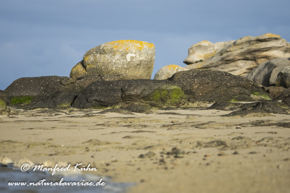 Bretagne (Frankreich)_0363