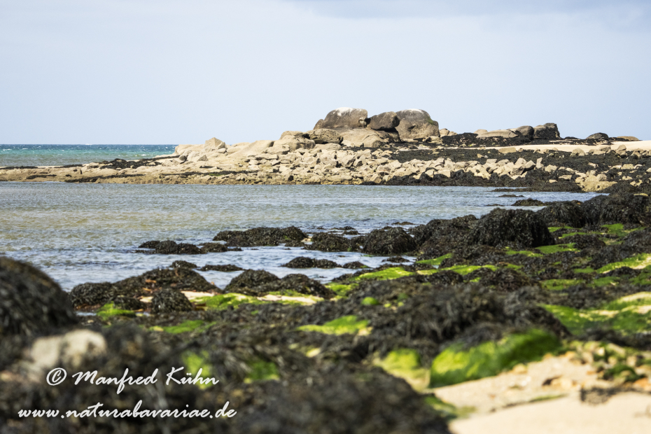 Bretagne (Frankreich)_0386