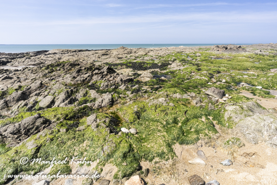 Bretagne (Frankreich)_0450