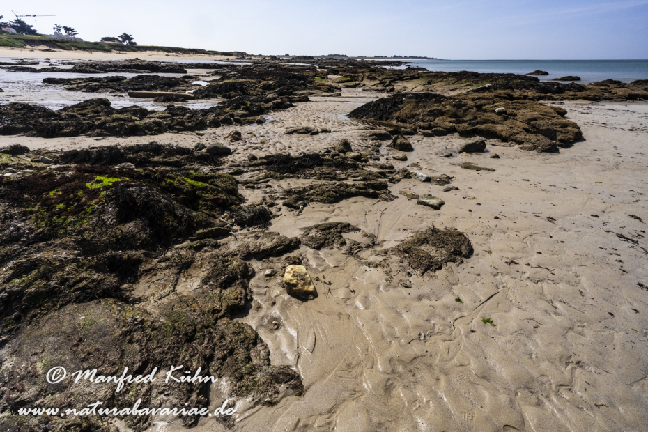 Bretagne (Frankreich)_0453