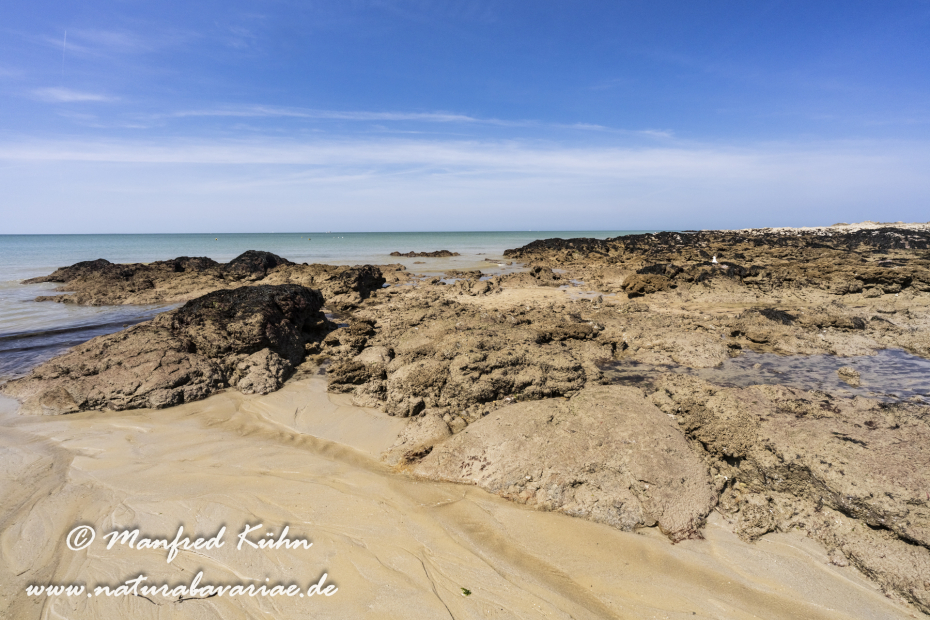 Bretagne (Frankreich)_0458