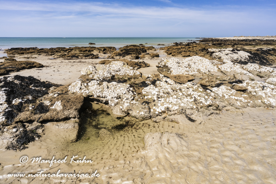 Bretagne (Frankreich)_0467