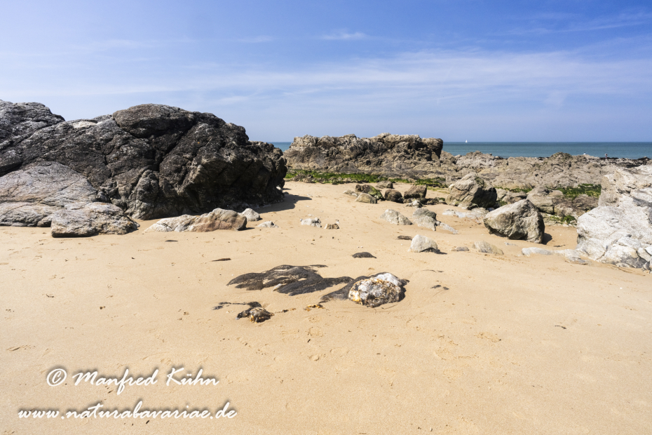 Bretagne (Frankreich)_0470