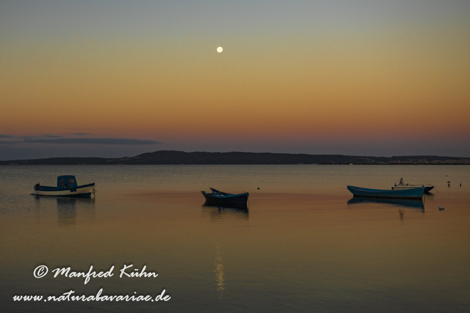 Sardinien (Italien)_0857