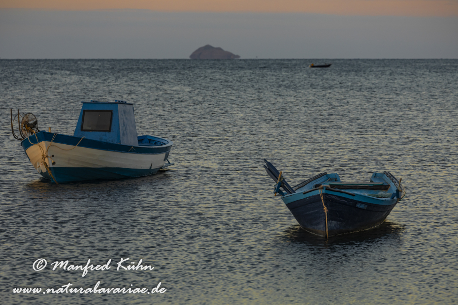 Sardinien (Italien)_0869