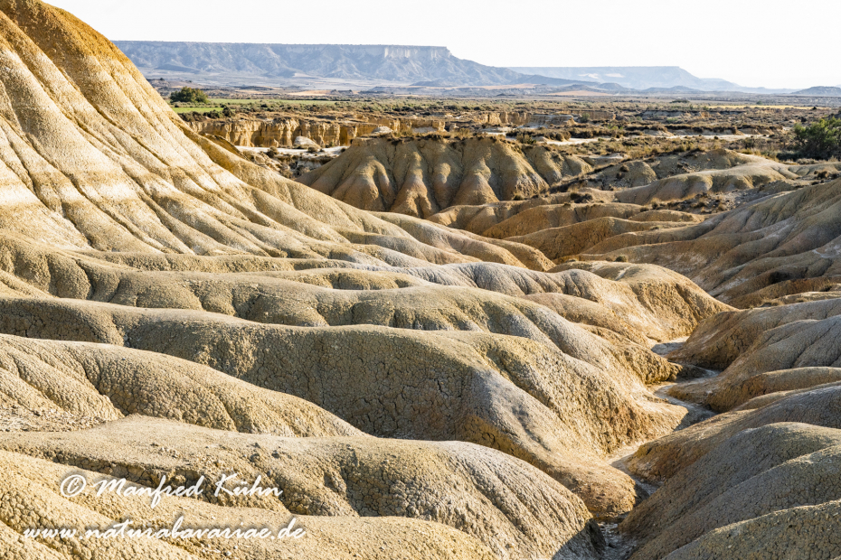 Navarra Bardenas Reales (Spanien)_0010