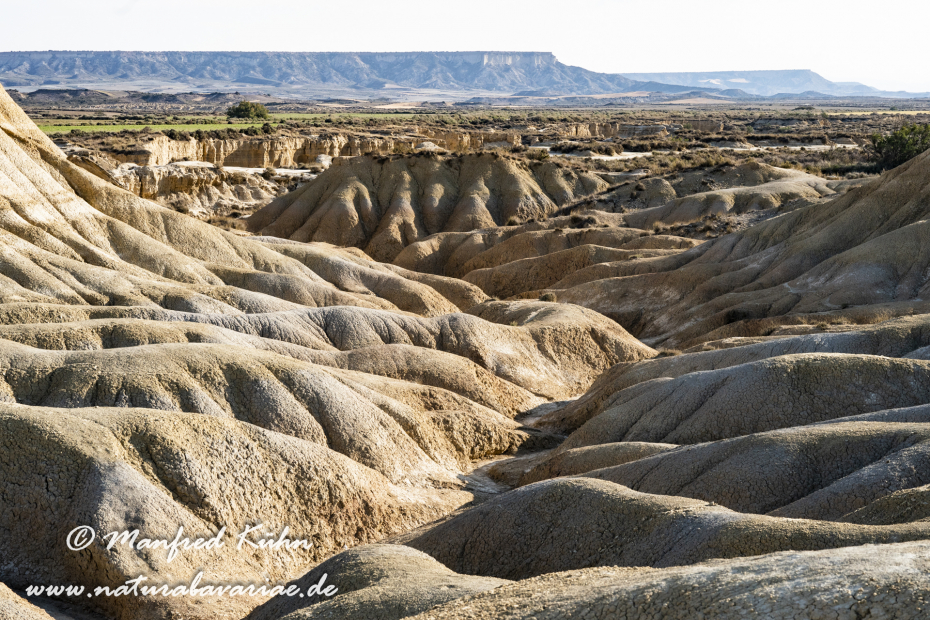 Navarra Bardenas Reales (Spanien)_0011