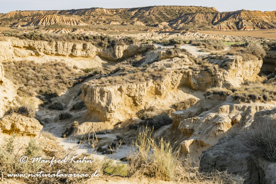 Navarra Bardenas Reales (Spanien)_0017