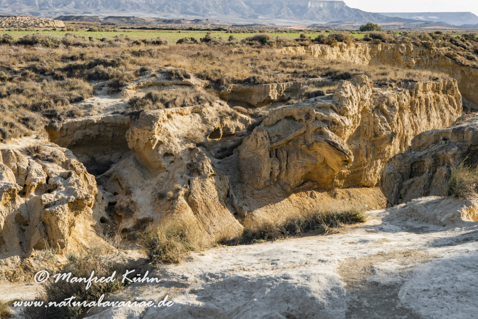 Navarra Bardenas Reales (Spanien)_0018