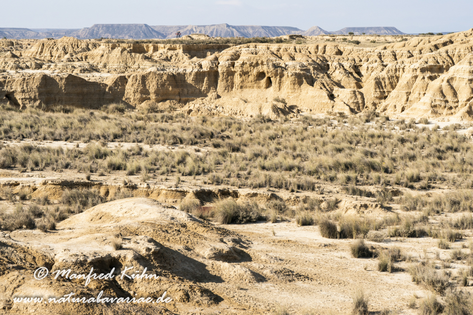 Navarra Bardenas Reales (Spanien)_0034
