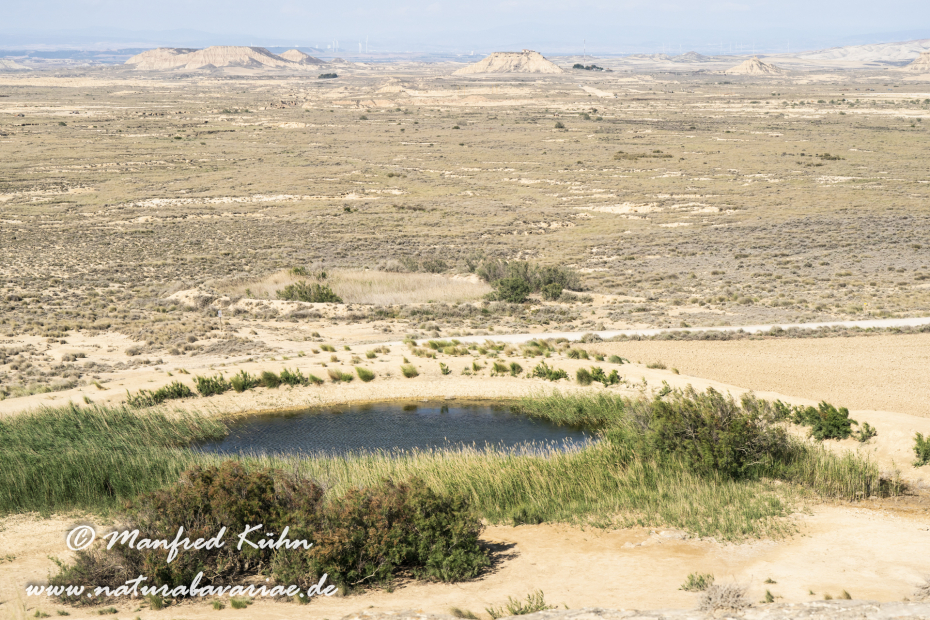 Navarra Bardenas Reales (Spanien)_0043