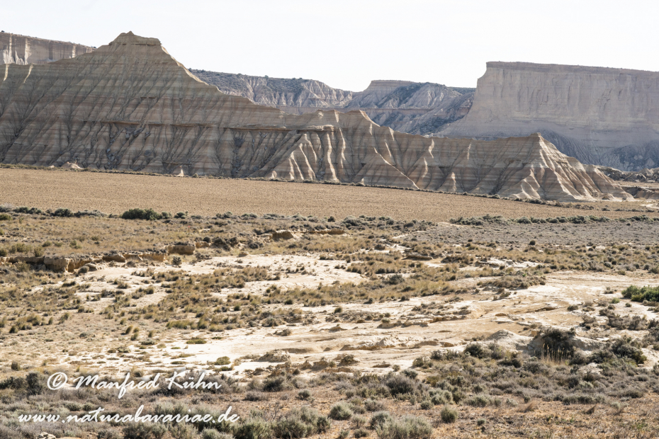 Navarra Bardenas Reales (Spanien)_0045