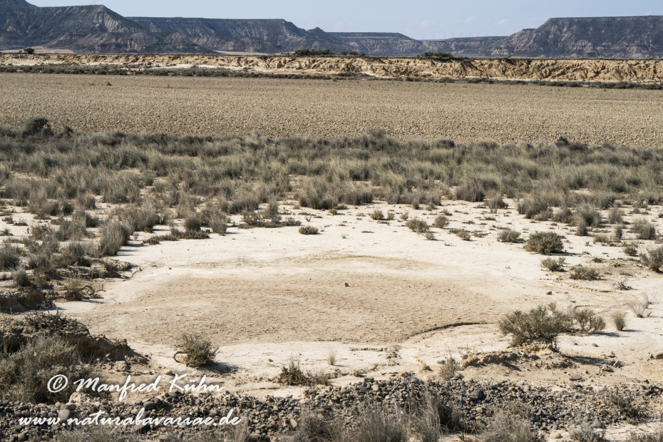 Navarra Bardenas Reales (Spanien)_0048