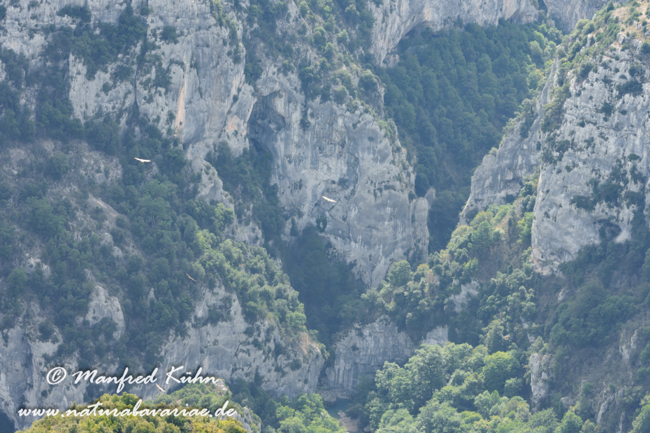 Verdonschlucht-Gorges du Verdon (Frankreich)_0035