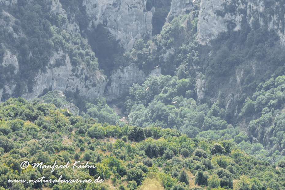 Verdonschlucht-Gorges du Verdon (Frankreich)_0037