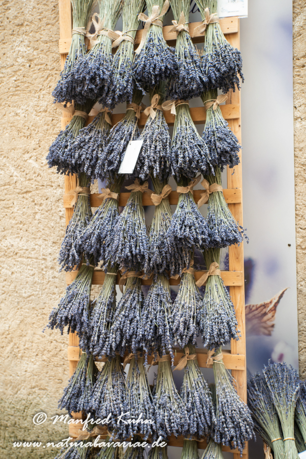 Moustiers-Sainte-Marie (Frankreich)_0009