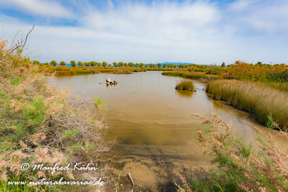 Lesbos (Griechenland)_0045