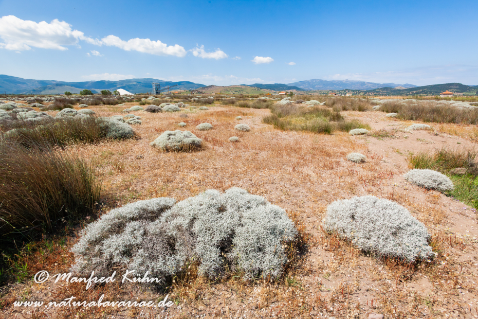 Lesbos (Griechenland)_0053
