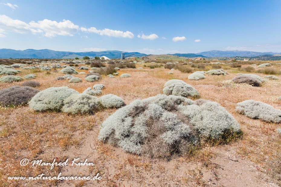 Lesbos (Griechenland)_0054