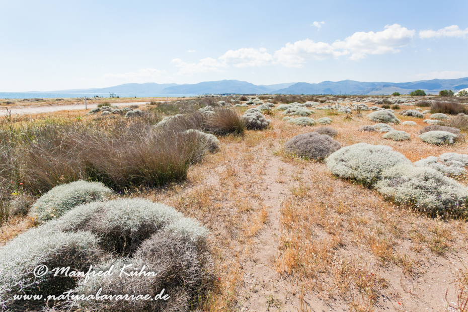 Lesbos (Griechenland)_0056