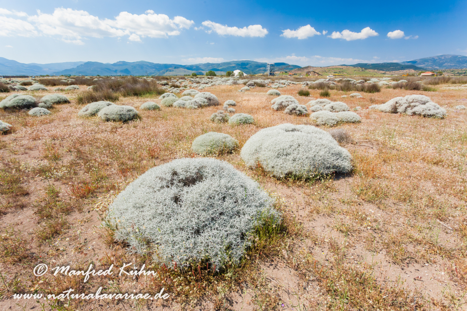 Lesbos (Griechenland)_0058